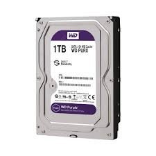 HDD 1tb purple
